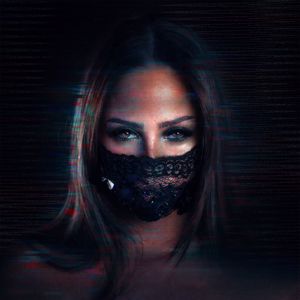 FELICIA: My System