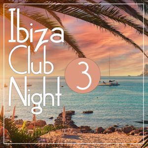 Various Artists: Ibiza Club Night 3