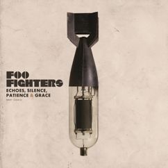 Foo Fighters: Summer's End