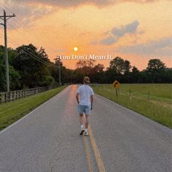 Niklas Juritsch: You Don't Mean It