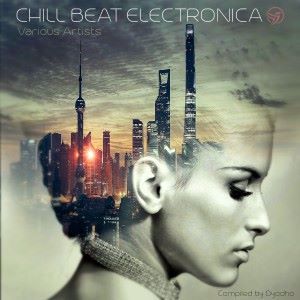 Various Artists: Chill Beat Electronica