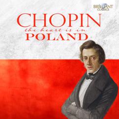 Ekaterina Litvintseva, Czech Chamber Philharmonic Orchestra Pardubice, Vahan Mardirossian: Fantasia on Polish Airs in A Major, Op. 13