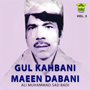 Ali Muhammad Sad Badi: Gul Kahbani Maeen Dabani, Vol. 3