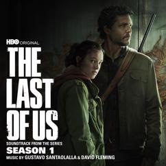 Gustavo Santaolalla: All Gone (Ephemeral)