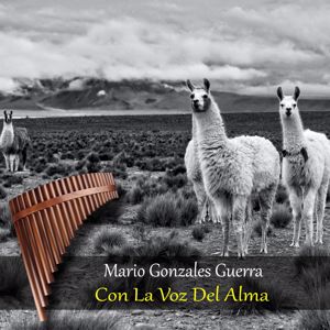 Mario Gonzales Guerra: Con la Voz del Alma