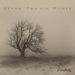 Stone Temple Pilots: I Didn't Know the Time