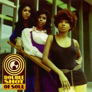 Various Artists: Double Shot Of Soul