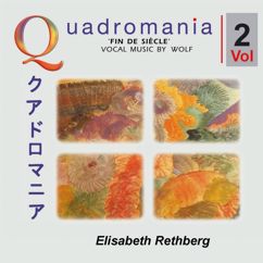 Coenraad Bos, Elisabeth Rethberg: No. 36 Wenn Du, Mein Liebster