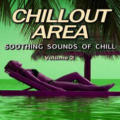 Various Artists: Chillout Area, Vol. 2 (Soothing Sounds of Chill)