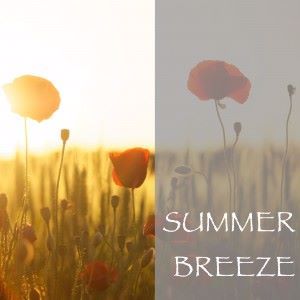Nature Sounds: Summer Breeze