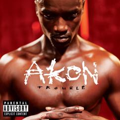 Akon: Trouble Nobody (Album Version)