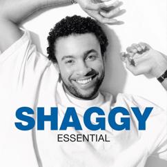 Shaggy, Puba Grand: Why You Treat Me So Bad