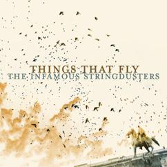The Infamous Stringdusters: You Can't Stop The Changes
