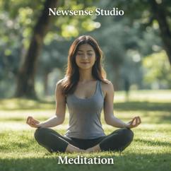 Newsense Studio: Meditation