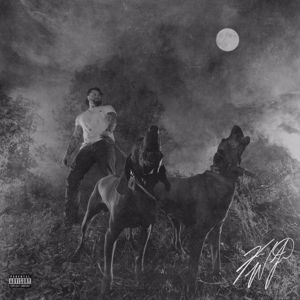 Koe Wetzel: The Night Champion