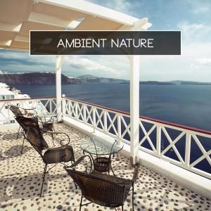 Various Artists: Ambient Nature