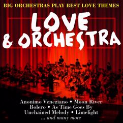 Various Artists: Love & Orchestra (Big Orchestras Play Best Love Themes)