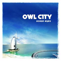 Owl City: Tidal Wave (Album Version)