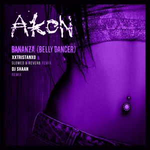Akon, xxtristanxo, DJ Shaan, Slowed Radio: Bananza (Belly Dancer) (Remixes)