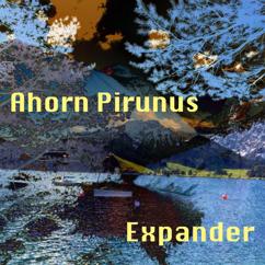Ahorn Pirunus: Radar Girl (Single Edit)