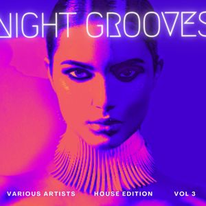 Various Artists: Night Grooves (House Edition), Vol. 3