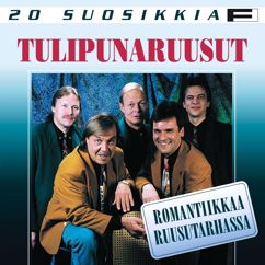 Tulipunaruusut, Raimo Piipponen: Viimeinen humppa