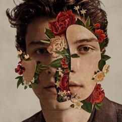 Shawn Mendes: If I Can't Have You