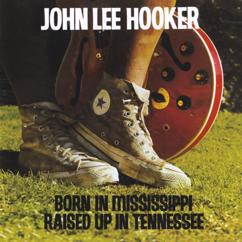 John Lee Hooker: How Many More Years You Gonna Dog Me 'Round?