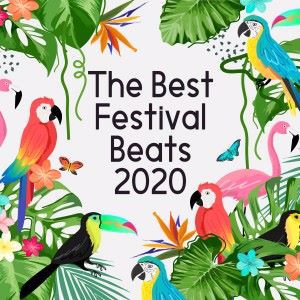 Various Artists: The Best Festival Beats 2020