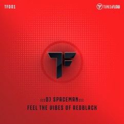 DJ Spaceman: Feel the Vibes of RedBlack (Black Radio Mix)