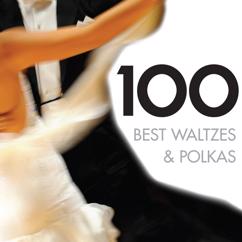 Wiener Johann Strauss Orchester: Auf Ferienreisen - Polka schnell Op.133
