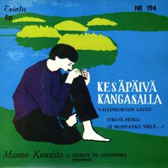 Mauno Kuusisto: Kesäpäivä Kangasalla