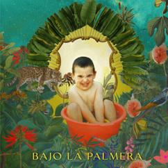 Mamafrica: Bajo La Palmera