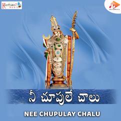 N Parthasarathy: Nee Chupulay Chalu