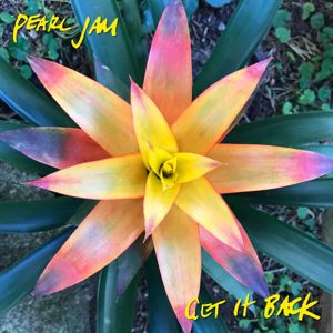 Pearl Jam: Get It Back
